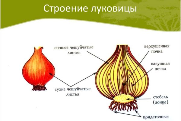 Что можно купить в кракене