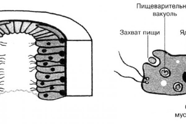 Как найти сайт кракен